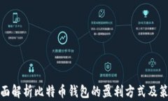 全面解析比特币钱包的盈利方式及策略