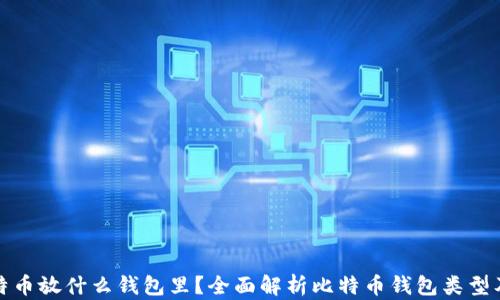 
买了比特币放什么钱包里？全面解析比特币钱包类型及其选择