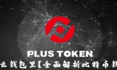 买了比特币放什么钱包里？全面解析比特币钱包