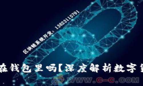 比特币只能在钱包里吗？深度解析数字货币存储方式