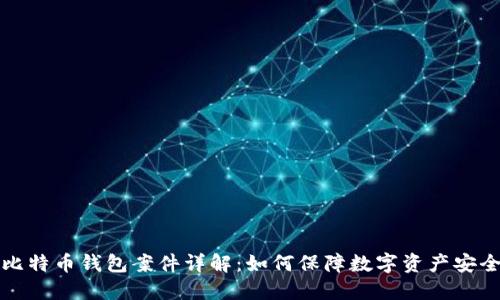 比特币钱包案件详解：如何保障数字资产安全