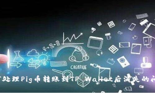如何处理Pig币转账到TP Wallet后消失的问题？