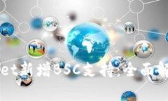 电脑版tpWallet新增BSC支持：全面解析与使用指南