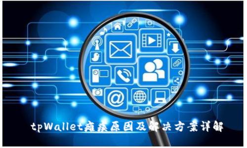  tpWallet瘫痪原因及解决方案详解