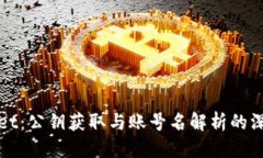 三层tpWallet：公钥获取与账号名解析的深度解析