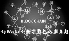 全面解析tpWallet：数字钱包的未来趋势与应用