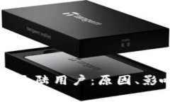 tpWallet禁止大陆用户：原因