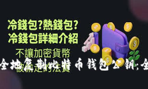 如何安全地复制比特币钱包公钥：全面指南