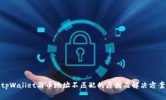 tpWallet与币地址不匹配的原因及解决方案