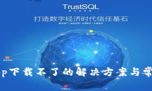 小花钱包app下载不了的解决方案与常见问题解析