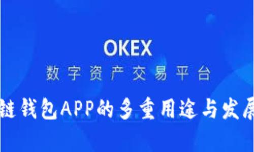 国内区块链钱包APP的多重用途与发展前景分析