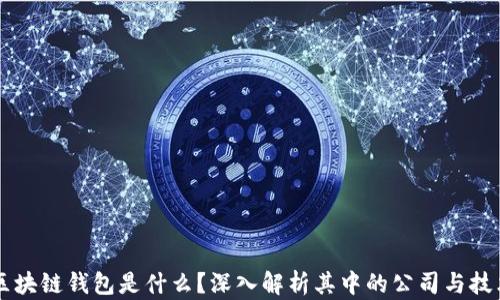 
区块链钱包是什么？深入解析其中的公司与技术