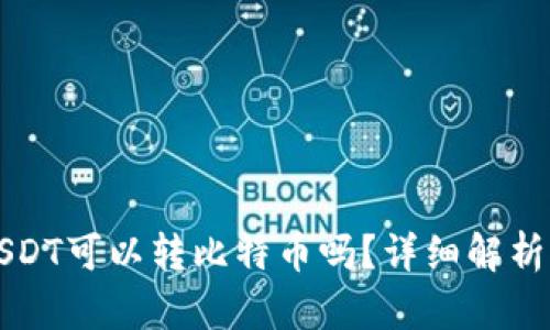 火币钱包USDT可以转比特币吗？详细解析与操作指南