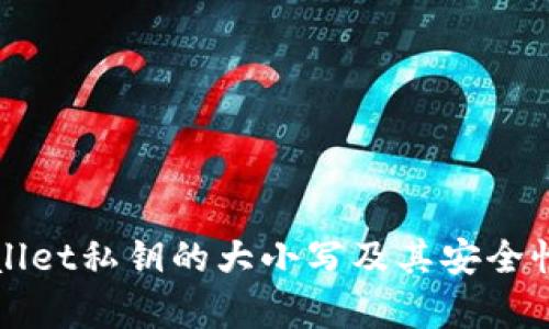 tpWallet私钥的大小写及其安全性解析
