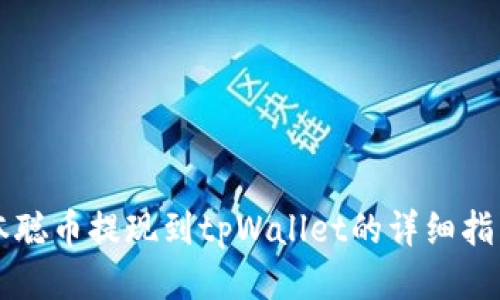 本聪币提现到tpWallet的详细指南