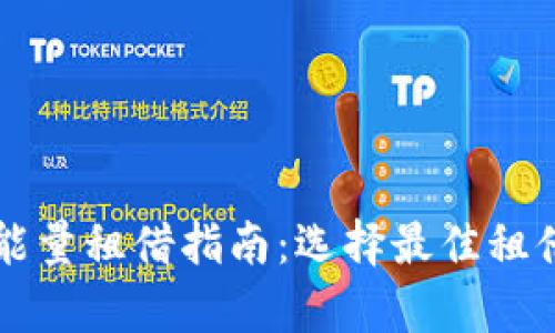 生成内容

tpWallet能量租借指南：选择最佳租借平台方式