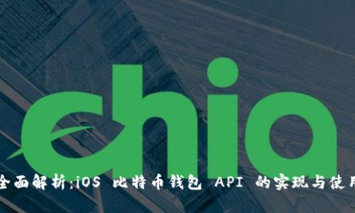 全面解析：iOS 比特币钱包 API 的实现与使用