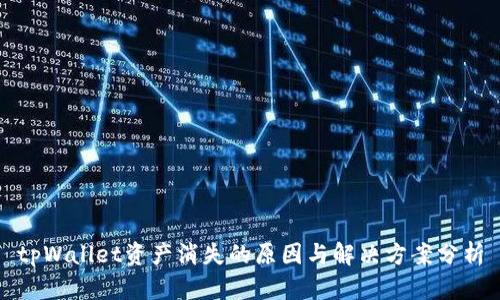 tpWallet资产消失的原因与解决方案分析