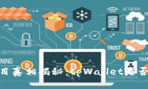 思考
FIZZ币项目真相揭秘：tpWallet是否值得信赖？