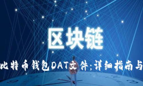 如何打开比特币钱包DAT文件：详细指南与操作步骤