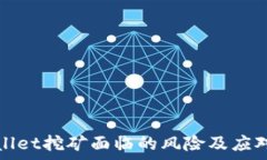   tpWallet挖矿面临的风险及