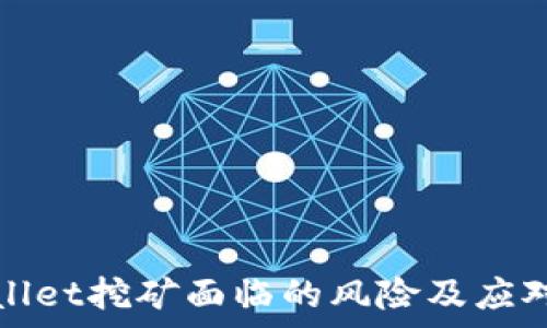   
tpWallet挖矿面临的风险及应对策略