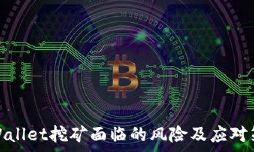   
tpWallet挖矿面临的风险及应对策略