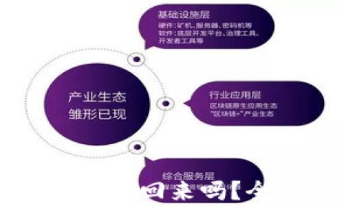 
tpWallet被盗后还能追回来吗？全面解析及解决方案