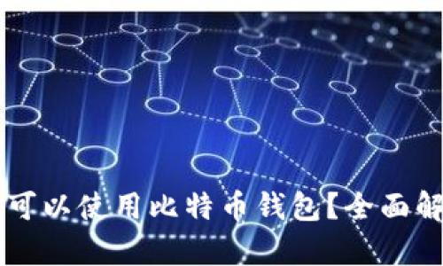 国内是否可以使用比特币钱包？全面解析与指南