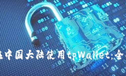 如何在中国大陆使用tpWallet：全面指南