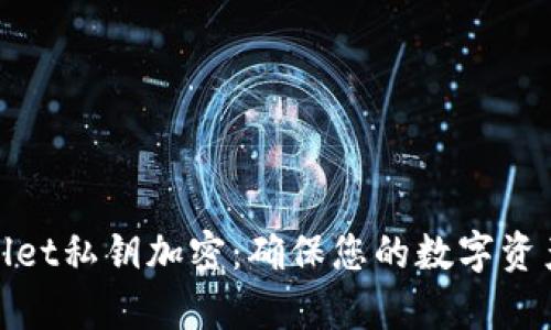 tpWallet私钥加密:确保您的数字资产安全