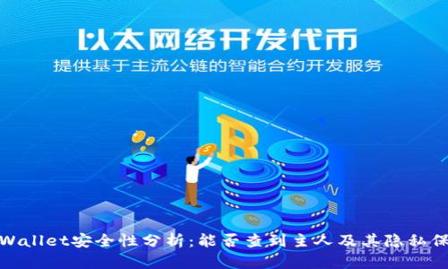 tpWallet安全性分析：能否查到主人及其隐私保护