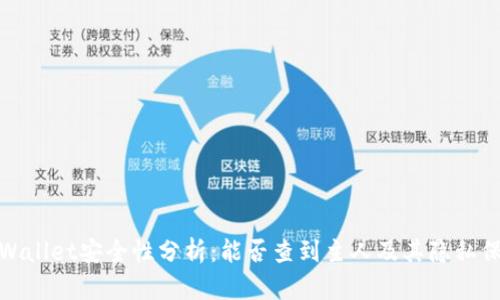 tpWallet安全性分析：能否查到主人及其隐私保护