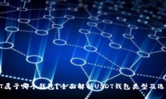 : USDT属于哪个钱包？全面解析USDT钱包类型及选择