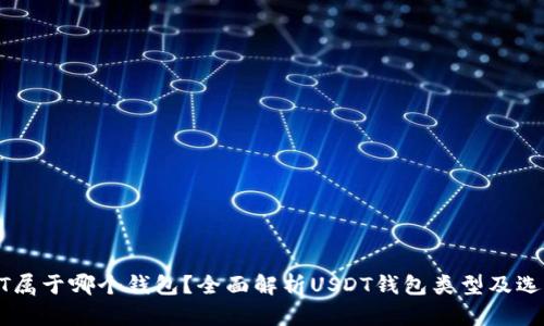 : USDT属于哪个钱包？全面解析USDT钱包类型及选择指南