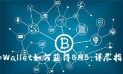 tpWallet如何获得BNB：详尽指