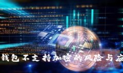比特币钱包不支持加密的风险与应对策略