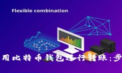 如何在中国使用比特币钱包进行转账：步骤及注