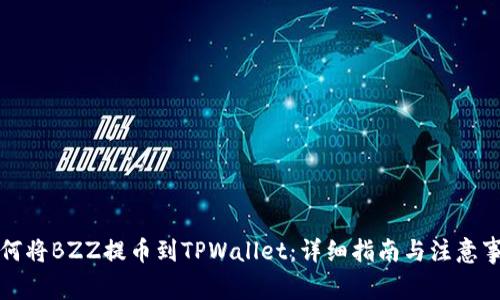 如何将BZZ提币到TPWallet：详细指南与注意事项