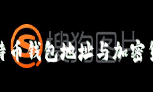 揭秘马斯克比特币钱包地址与加密货币的未来趋势