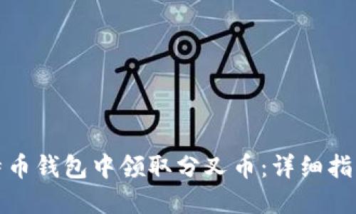 如何在老比特币钱包中领取分叉币：详细指南与实用技巧