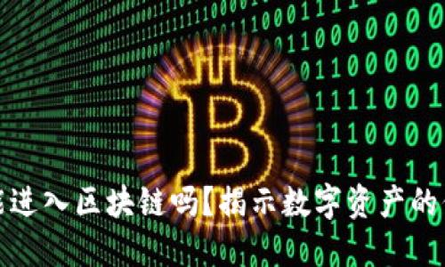 一个钱包能进入区块链吗？揭示数字资产的保管与安全