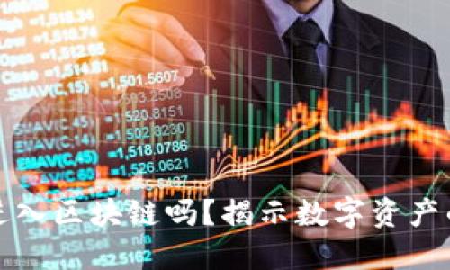 一个钱包能进入区块链吗？揭示数字资产的保管与安全