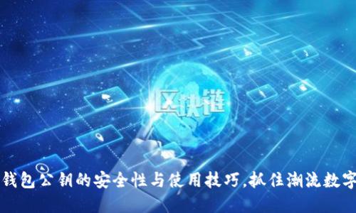 了解虚拟币钱包公钥的安全性与使用技巧，抓住潮流数字资产的机会