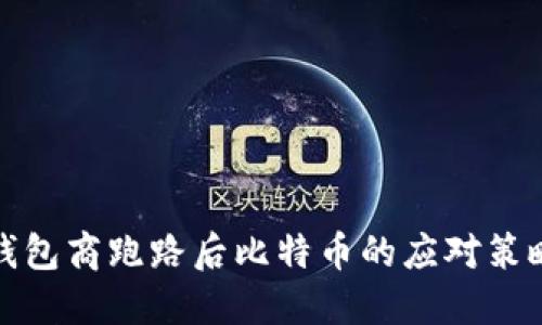 钱包商跑路后比特币的应对策略