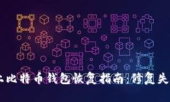 GitHub上比特币钱包恢复指