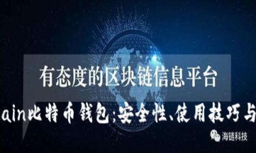 探讨Onchain比特币钱包：安全性、使用技巧与未来趋势