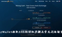 tpWallet提取BNB的详细步骤与