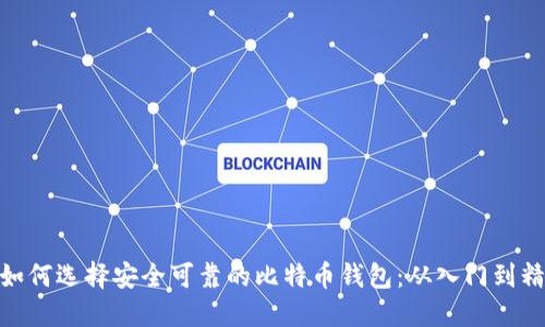 : 如何选择安全可靠的比特币钱包：从入门到精通