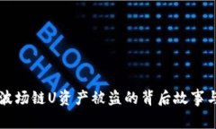 tpWallet波场链U资产被盗的